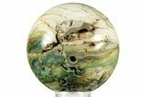 Gary Green Jasper (Larsonite) Bog Wood Sphere - Oregon #370926-1